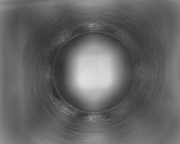 X0000056360752200509091622