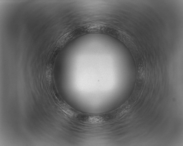 X0000056360753200509091622