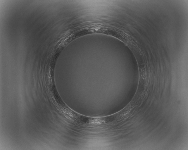 X0000056360754200509091622