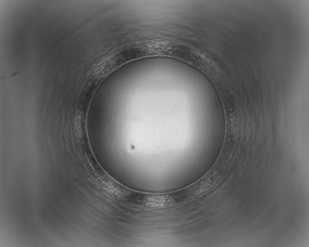 X0000056360757200509091622