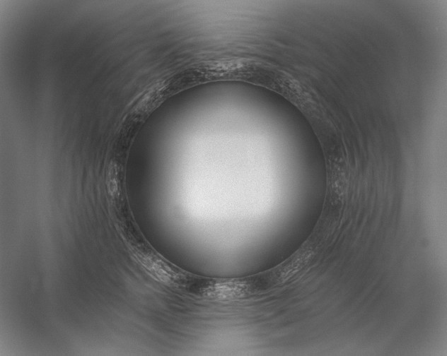 X0000056360758200509091622