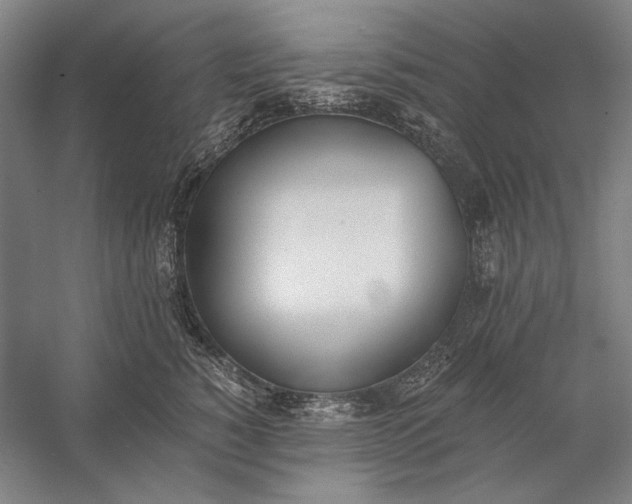 X0000056360760200509091622