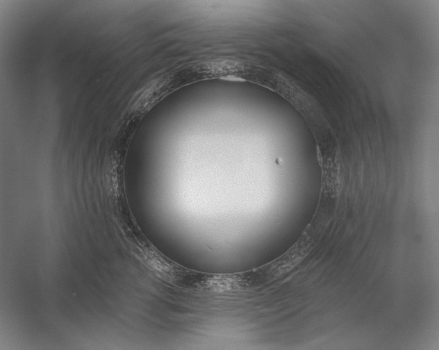 X0000056360762200509091622