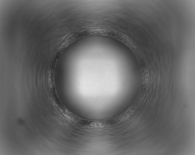 X0000056360764200509091622