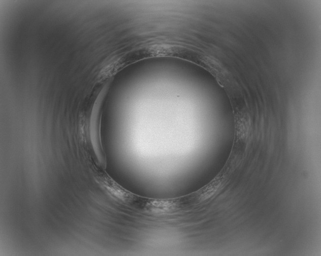 X0000056360766200509091622