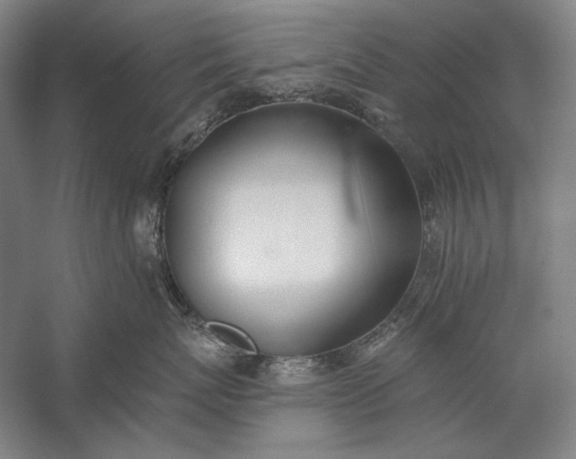 X0000056360767200509091622