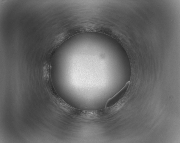 X0000056360768200509091622