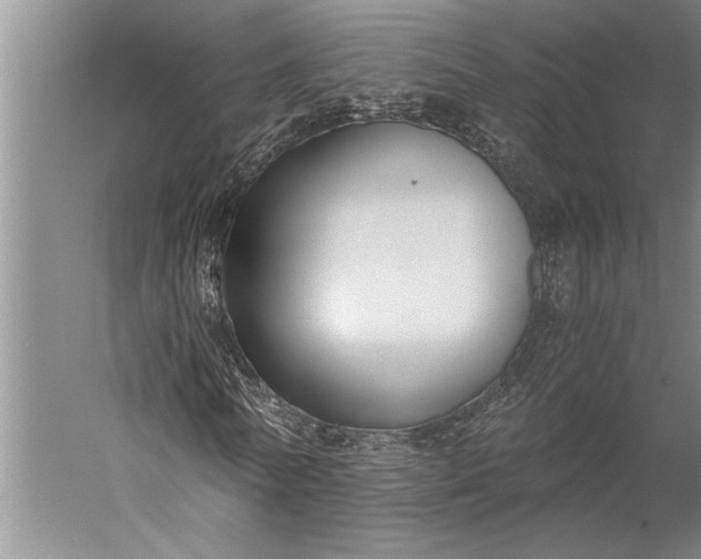 X0000056360770200509091622