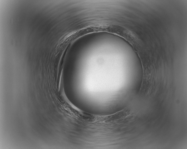 X0000056360773200509091622