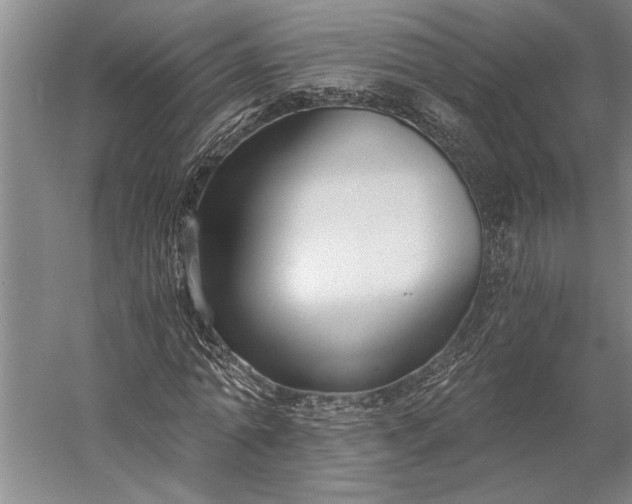 X0000056360774200509091622