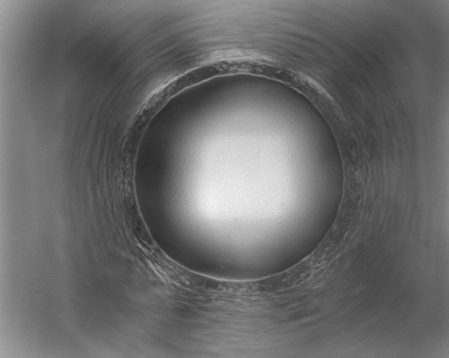 X0000056360775200509091622