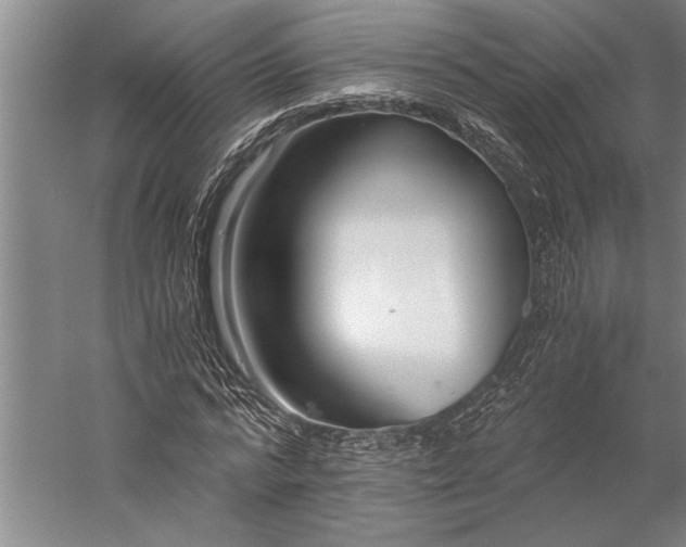 X0000056360776200509091621