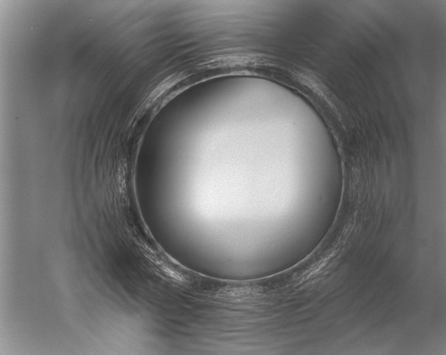 X0000056360778200509091621