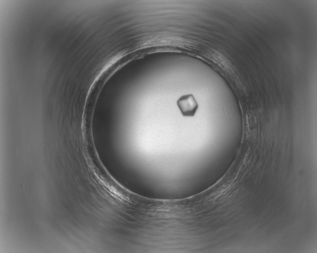 X0000056360780200509091621