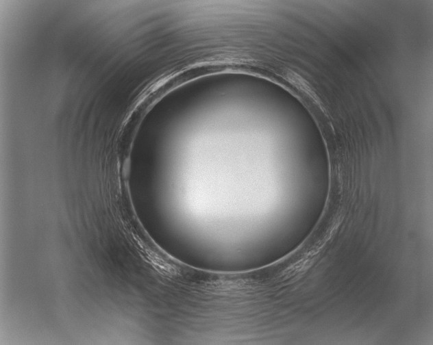 X0000056360781200509091621