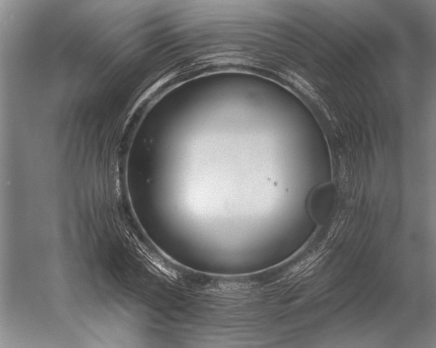 X0000056360782200509091621