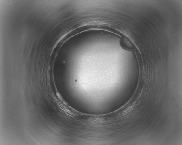 X0000056360783200509091621