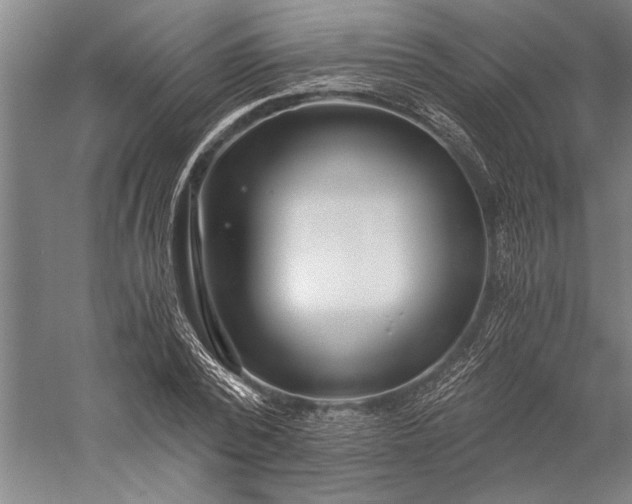 X0000056360784200509091621