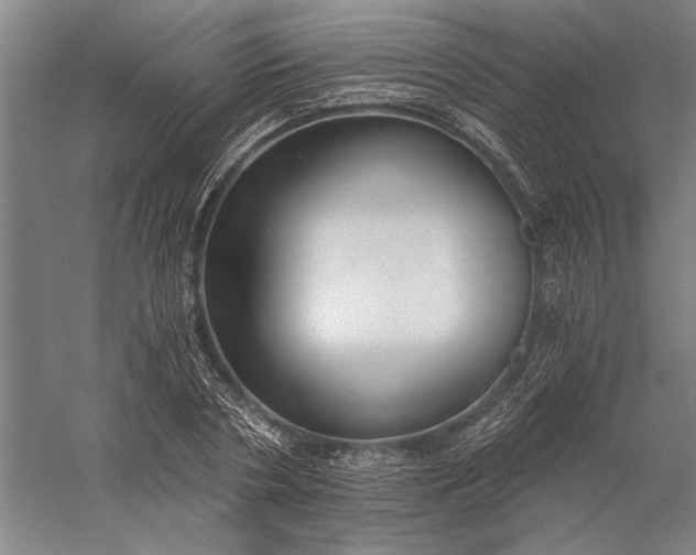 X0000056360786200509091621