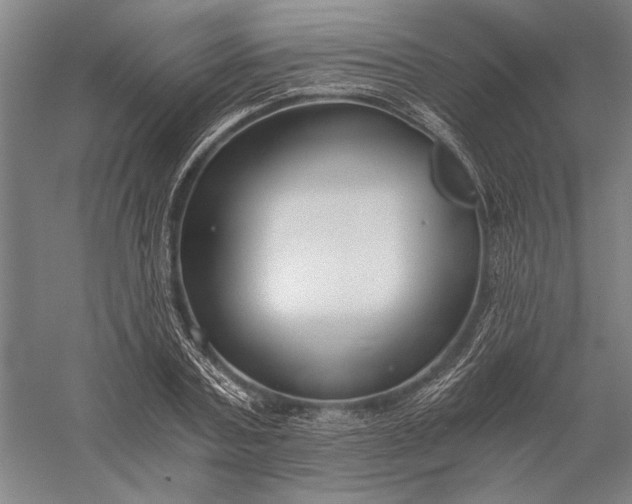 X0000056360787200509091621