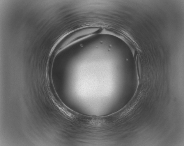 X0000056360788200509091621