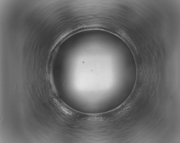 X0000056360789200509091621