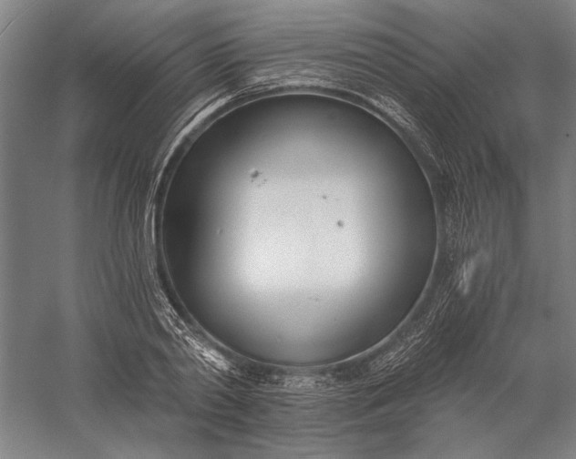 X0000056360790200509091621