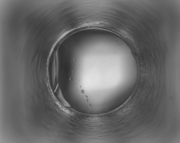 X0000056360792200509091621