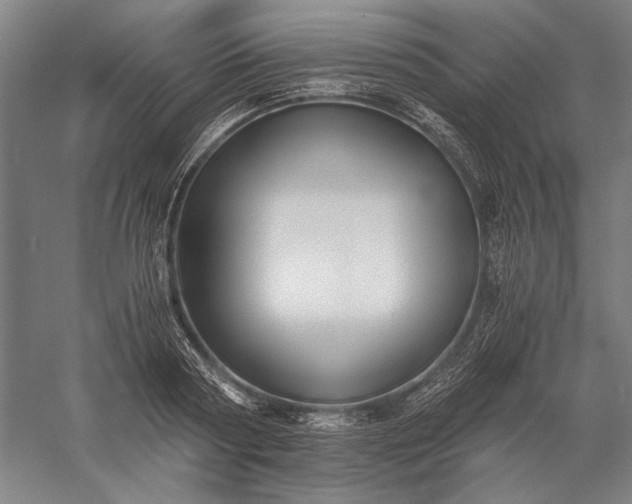 X0000056360794200509091621