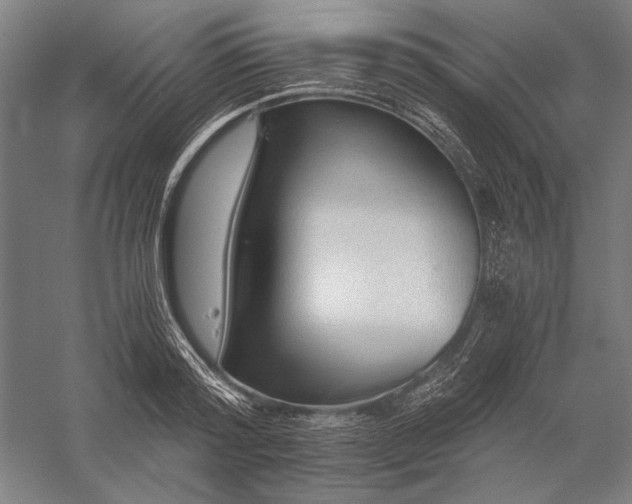 X0000056360796200509091621