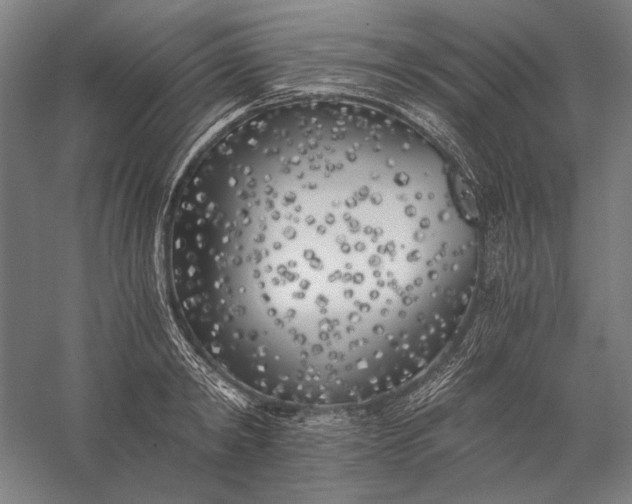 X0000056360798200509091621