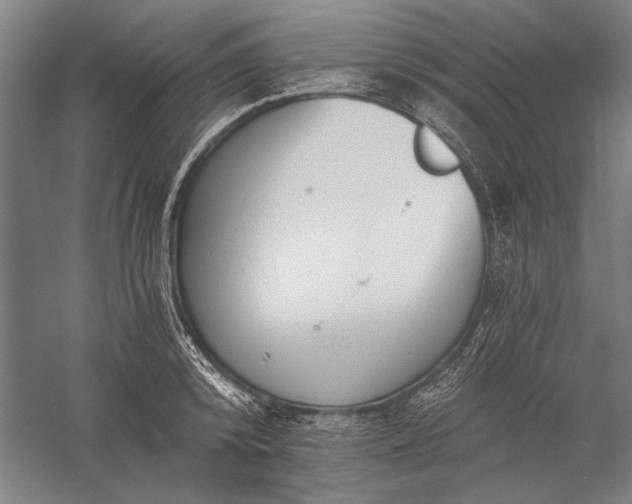 X0000056360800200509091621