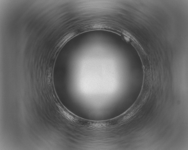 X0000056360801200509091621