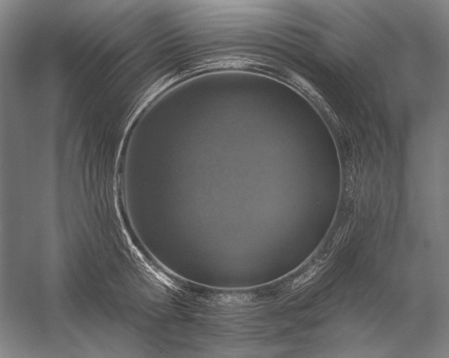 X0000056360802200509091621