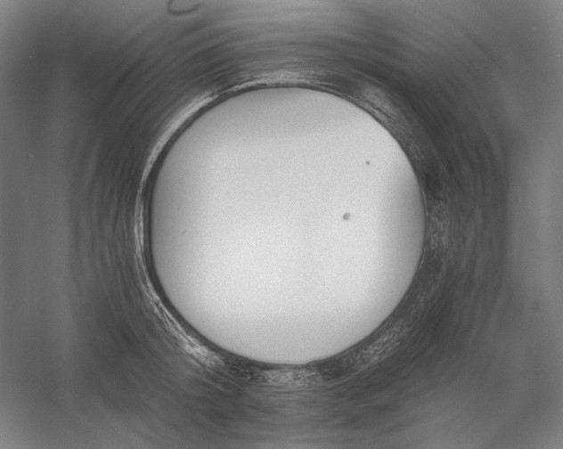 X0000056360804200509091621