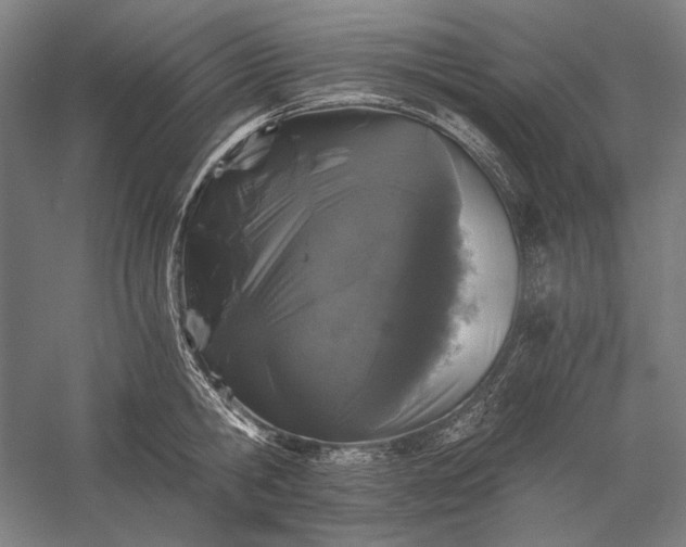 X0000056360806200509091621