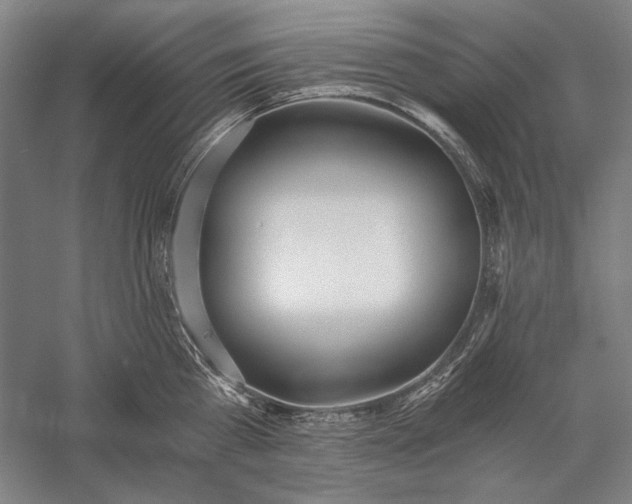 X0000056360809200509091621