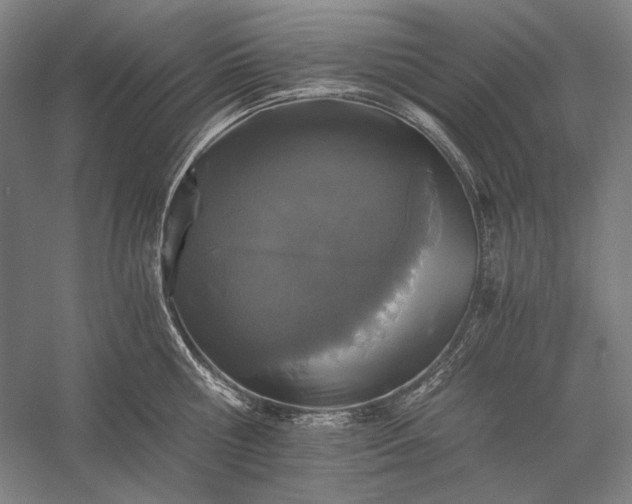 X0000056360810200509091621