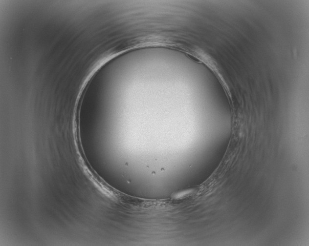 X0000056360811200509091621