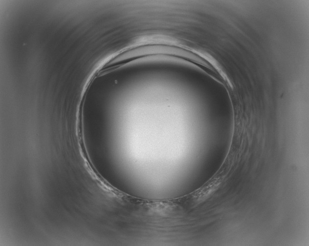 X0000056360815200509091621