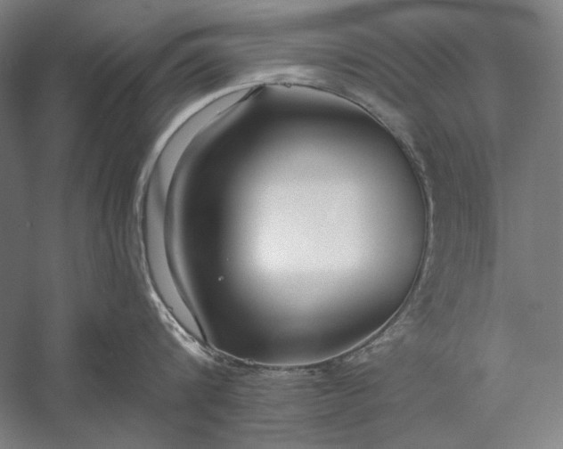 X0000056360816200509091621