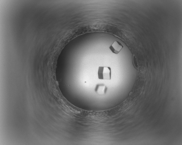 X0000056360817200509091620