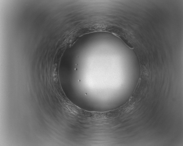 X0000056360818200509091620