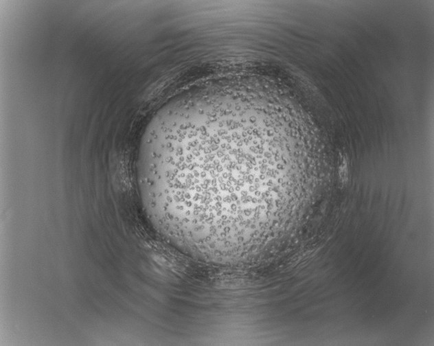 X0000056360819200509091620