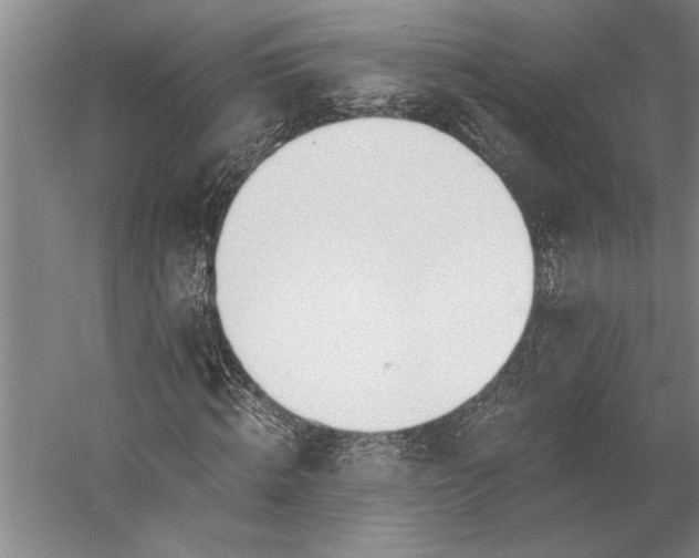 X0000056360820200509091620