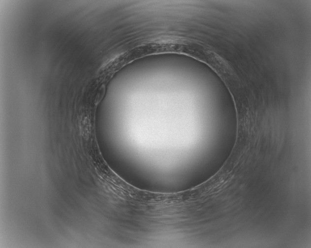 X0000056360821200509091620