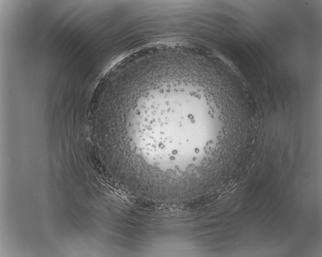 X0000056360823200509091620