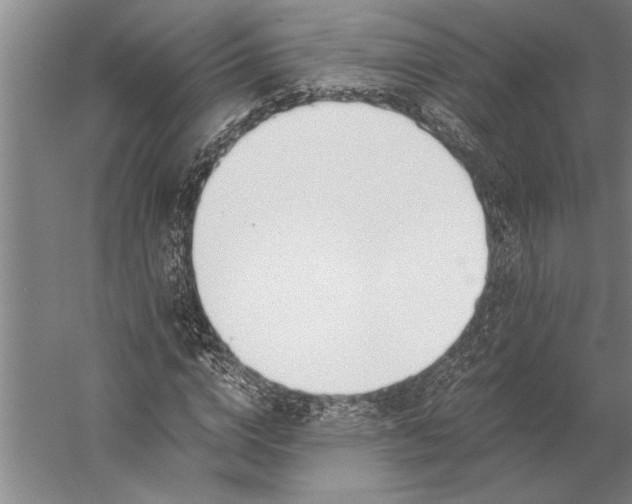 X0000056360824200509091620