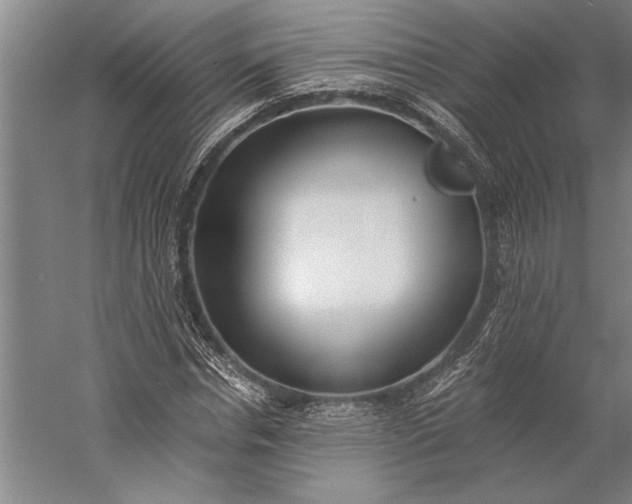 X0000056360826200509091620