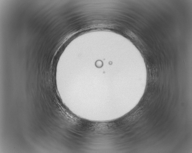 X0000056360828200509091620